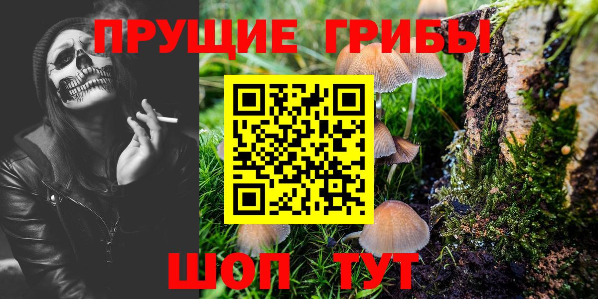 Галлюциногенные грибы мухоморы  Псилоцибиновые грибы Psilocybe  Саратов  наркошоп  Вход с VPN 
